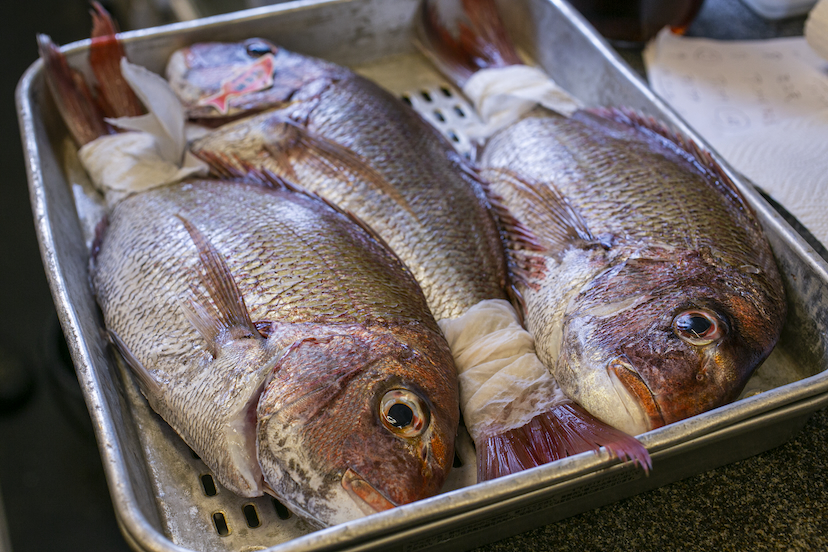 明石・魚の棚商店街「立呑み田中」地元の“最高すぎる酒場”を知らずにいた不覚